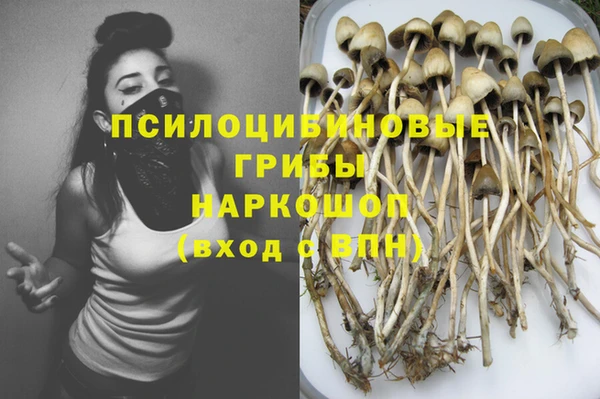 альфа пвп Нефтекумск