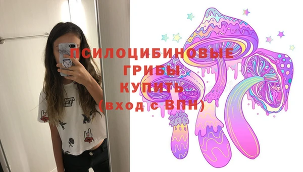 соль ск Новокубанск