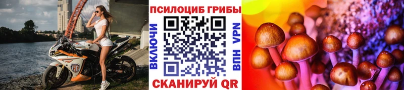 Псилоцибиновые грибы Magic Shrooms  Купить где  Динская 